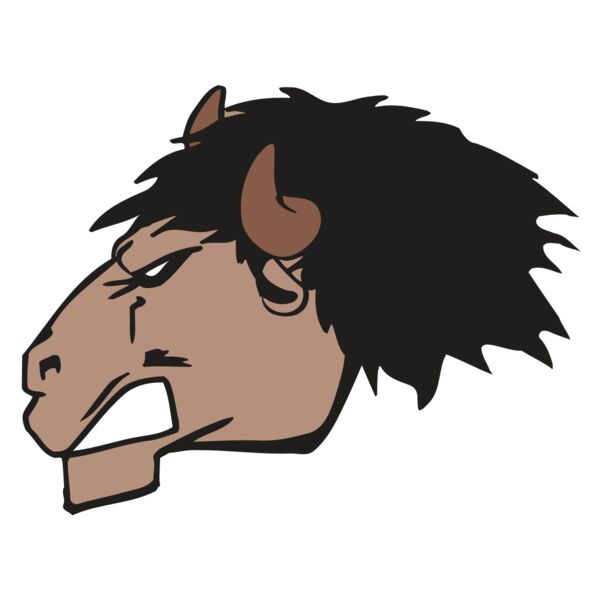 AR BUFFALO 18 RC Thumbnail