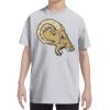 Youth DRI-POWER® ACTIVE T-Shirt Thumbnail